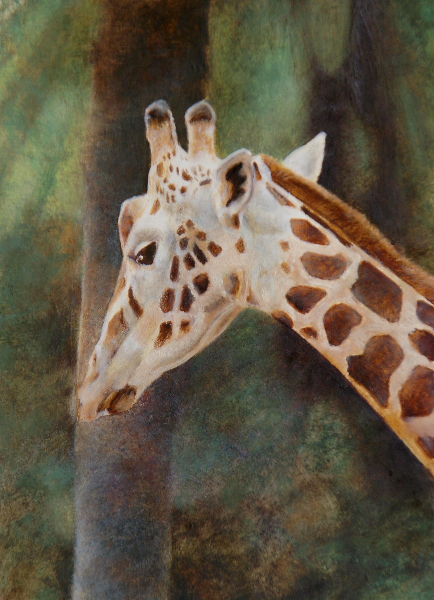 Penelope Fulljames OAS: Evening in the Canyon. Pastel