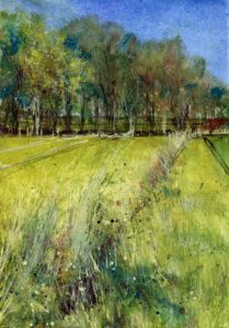 Alan Kidd: Copse on the Track