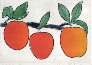 Claire Drinkwater: Red Apples