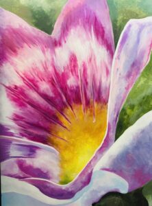 Sibford School: Flora