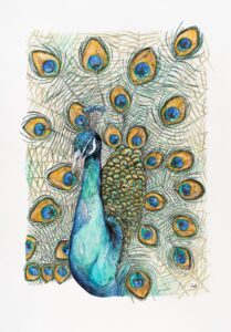 Steph Hicks: Peacock