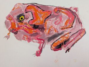 Elliot Harris aged 6: Red Frog