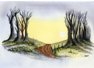 Trevor Mockford: Apricity - Under a Winter Sun