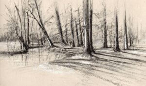 Emma Coleman-Jones: Christchurch Meadow and the Cherwell in flood