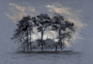 Emma Coleman-Jones: Unexpected sunset - Scots Pines and Keble College