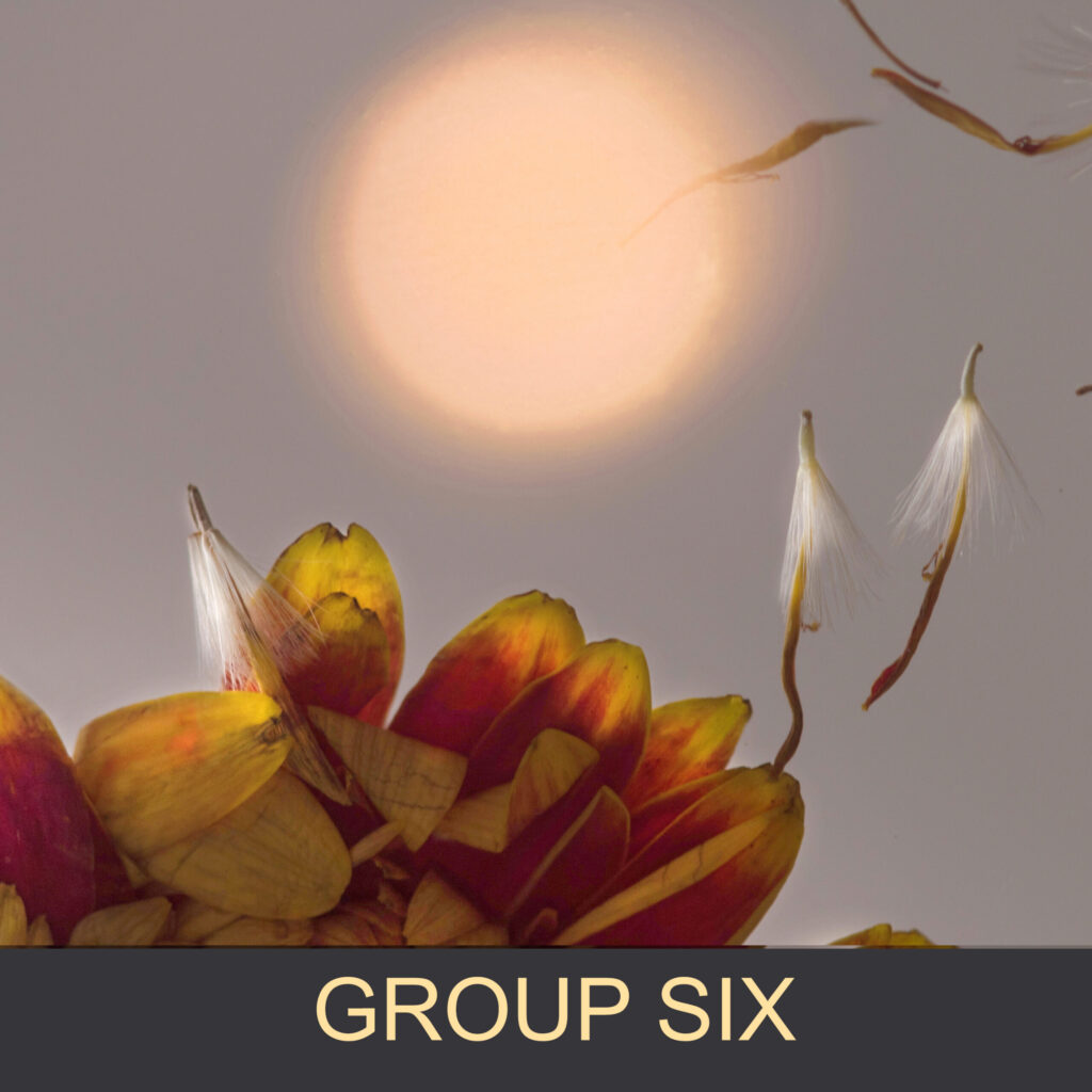 a detail from photographic image entitled 'dancing away' from series 'pathways, rythms   shifts   and heartbeats' 2026