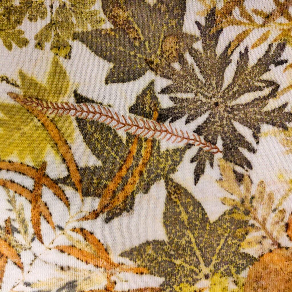 botanically printed and naturally dyed wearables and wall art