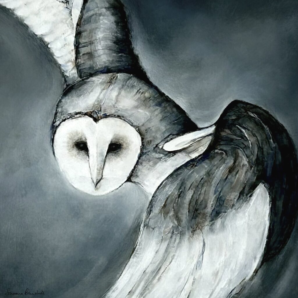 Barn Owl at Dusk