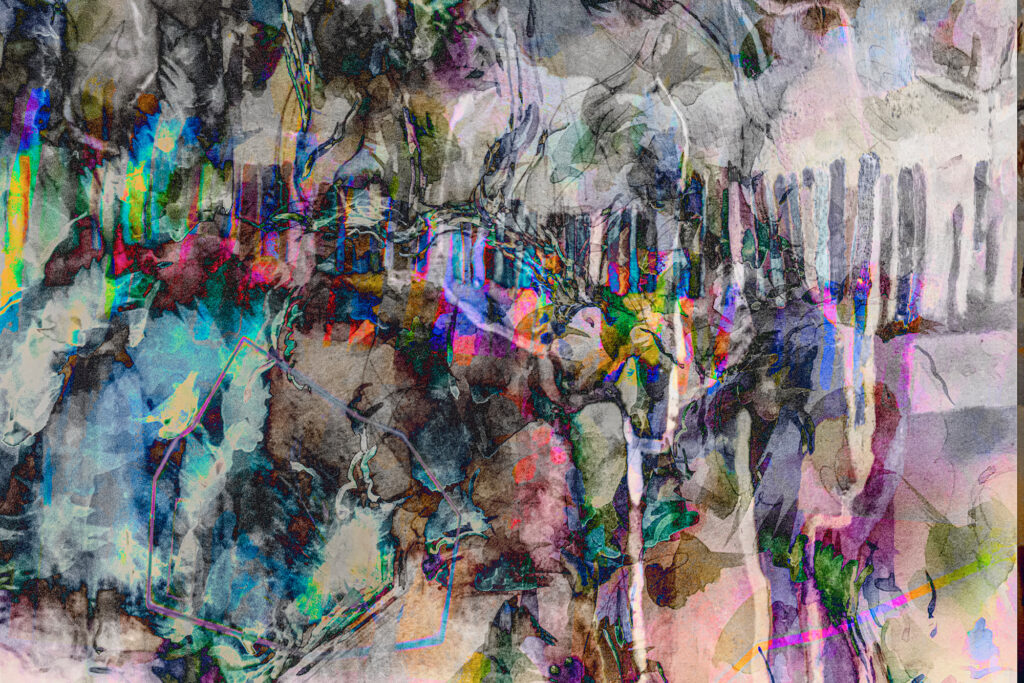 An abstraction by photographer Jane Stillwell