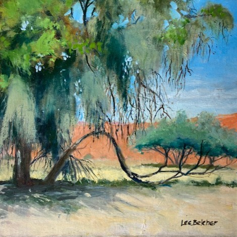 Welcome Shade in Namibia