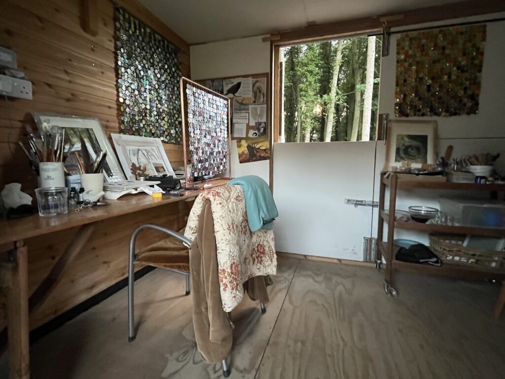 My studio backs onto what was the Wychwood Forest.