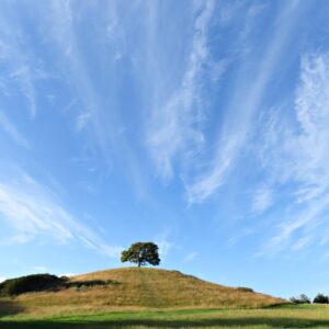 Gordon Stokes: Tree, Hill, Sky - Burrow Hill, Somerset - June