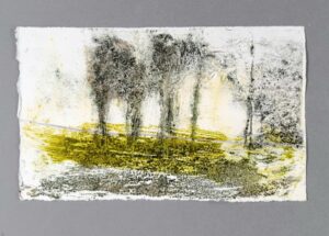 Carol Harvey: 'Pool Meadow Trees ', monoprint using natural printing inks, cards £5