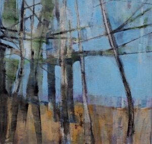 Yolande Wyer OAS, OPC: Through the Woods