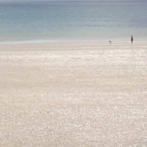 Gordon Stokes: Beach, woman, dog - Longrock, Cornwall - November