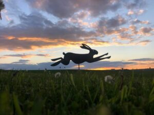 David Turner: Hare