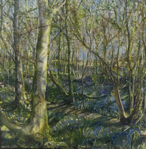 Ros Murphy: Bluebells "On the Cusp": Ltd Ed Prints newly available , 65x65cm oil (orig.sold)