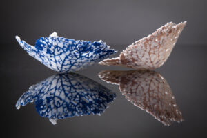 Laura Murphy: Translucent porcelain hydrangea sculptures, based on a hydrangea petal skeleton