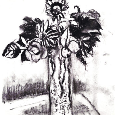 Still Life, charcoal 35cm x 27cm