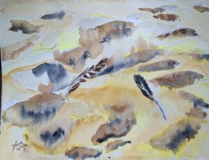 Frieda van de Poll: Sand and feathers, watercolours