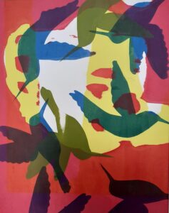 Mary Vincent SOA: Hummingbirds. Screen Print. 13.5x11.5inches framed £40
