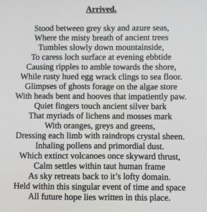 Mary Vincent SOA: Arrived by Mary Vincent 2025