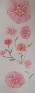 Jennie Fairweather: Pink flowers found in Cornwall. Watercolour on paper, mounted and framed