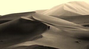 Helen C White: Morocco dunes