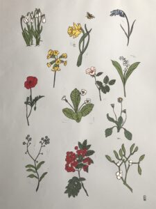 Lizzie Waterfield: A Year of Flowers, print and paper collage, 2021