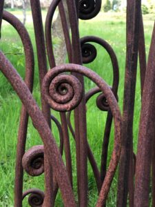 David Turner: Ferns