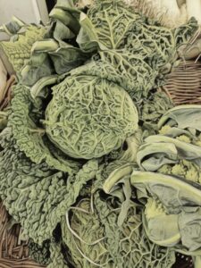 Helen C White: Green vegetables Cabbage