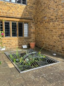 David Turner: Pond cover
