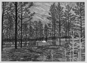 Jenny Dingwall: Camping in the Woods