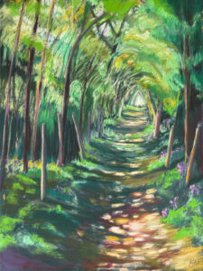 Joanne Lillywhite: Dappled Sunlit Path