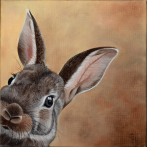Gill Heaton OAS: Curious Rabbit