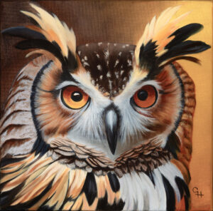 Gill Heaton OAS: Owl