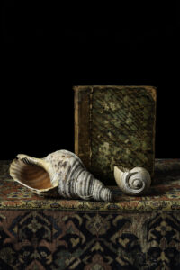 Benedict Ramos: Seashells and Book by Benedict Ramos