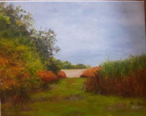 Judith Waywell: Trees and Elephant Grass. Oils on  Box Canvas