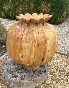 Andrew Binnie: Poppy Head