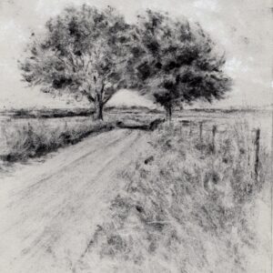 Emma Coleman-jones OAS: Ash and Beech at West Ilsley, The Ridgeway