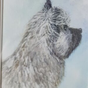 Jennie Fairweather: Head study of my Cairn Terrier Ava: Not for sale
