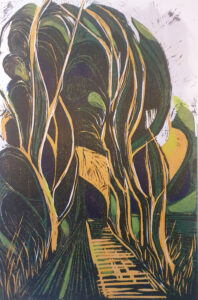 Catriona Brodribb OPC: 'Avenue near Berin's Hill', woodcut & pochoir