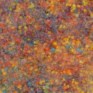 Tony Wyer: Autumn Berries