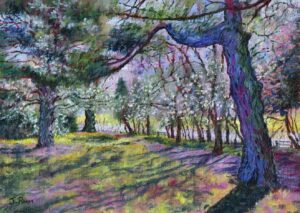 Jane Pimm SOA: Spring Blossom - oil on canvas