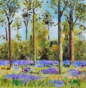 Patsy Jones: Bluebell wood oil on canvas