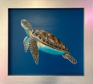 Melanie Charles: Bodhi sea turtle acrylic on board