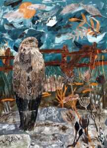 Hayley Noakes: The Watchful Buzzard
