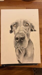 Laura Pomarius: Image of Great Dante - Fineliner and pencil on paper