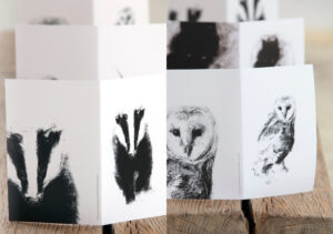 Kath Fotheringham: New cards for sale