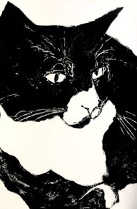 Hannah Farncombe: Collagraph monotype of Cat
